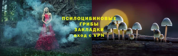 не бодяженный Алзамай