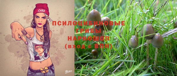 не бодяженный Алзамай